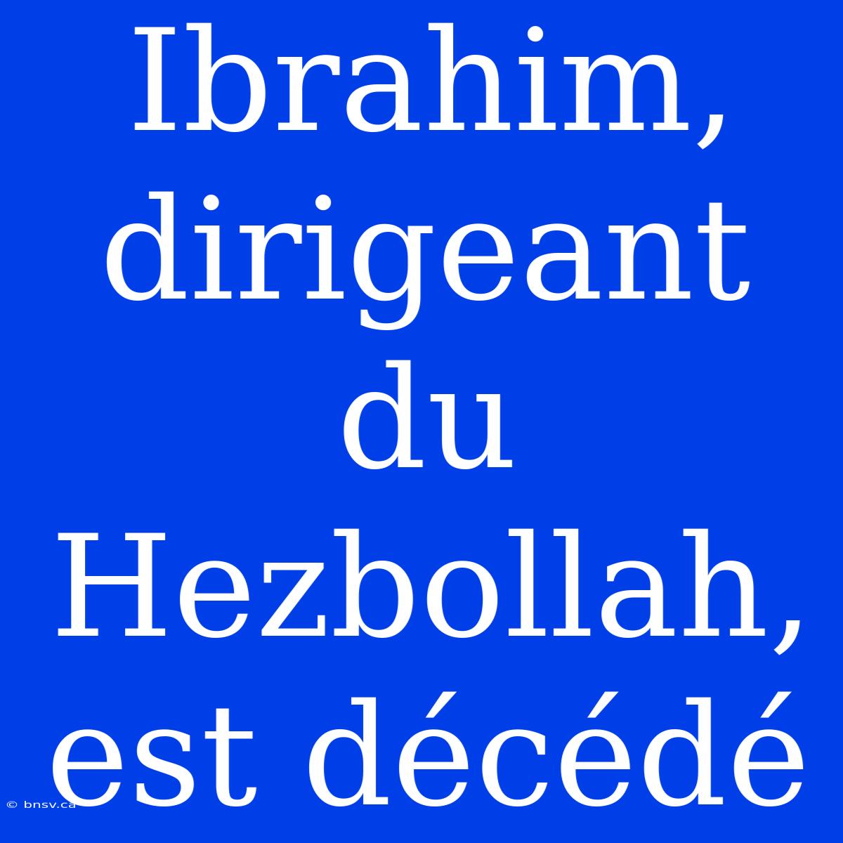 Ibrahim, Dirigeant Du Hezbollah, Est Décédé