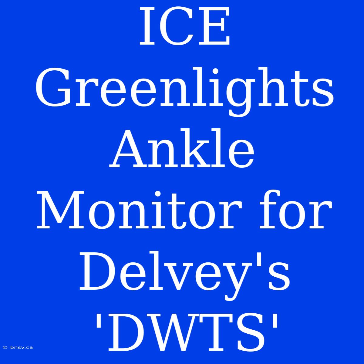 ICE Greenlights Ankle Monitor For Delvey's 'DWTS'