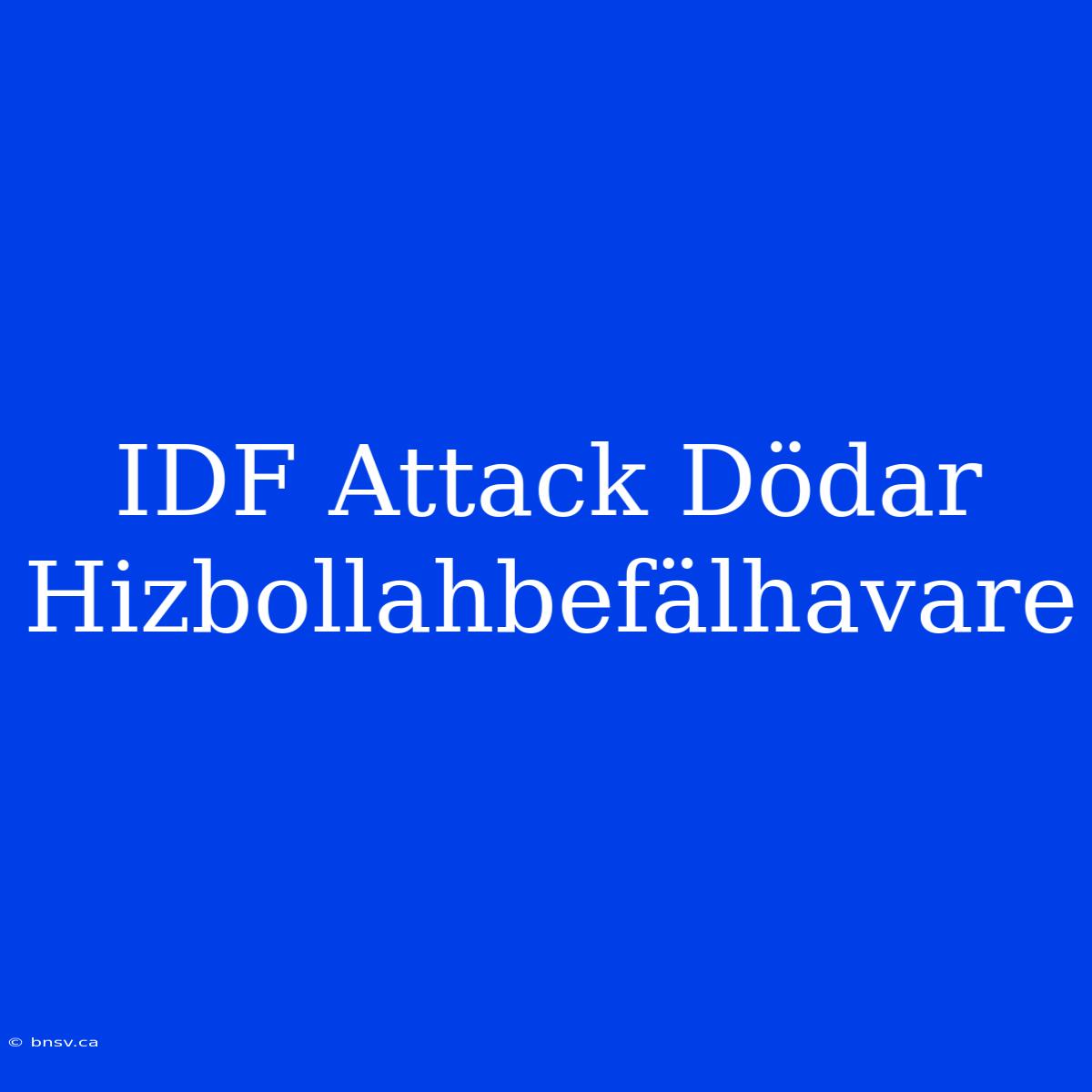 IDF Attack Dödar Hizbollahbefälhavare