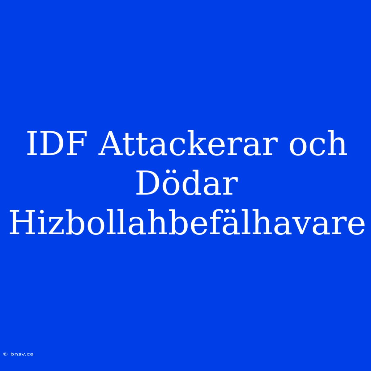 IDF Attackerar Och Dödar Hizbollahbefälhavare