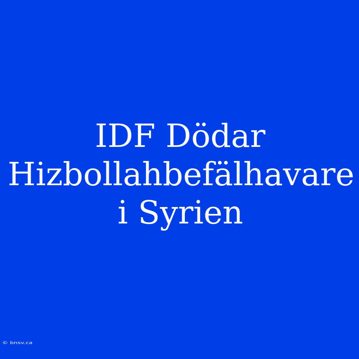 IDF Dödar Hizbollahbefälhavare I Syrien