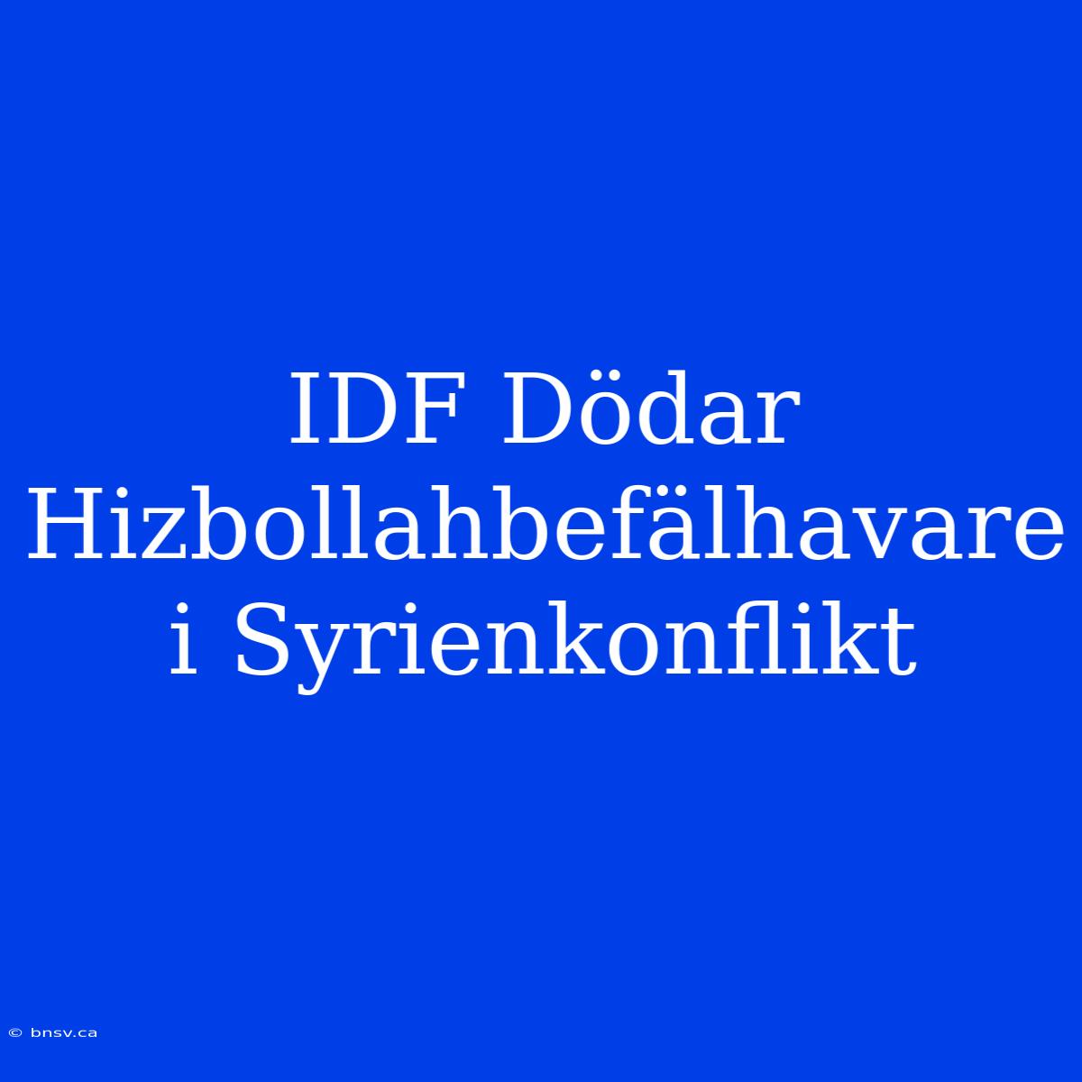 IDF Dödar Hizbollahbefälhavare I Syrienkonflikt