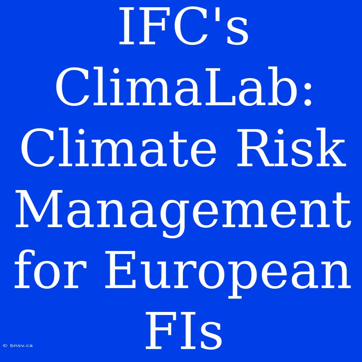 IFC's ClimaLab: Climate Risk Management For European FIs