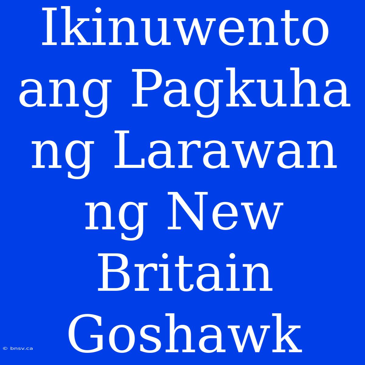 Ikinuwento Ang Pagkuha Ng Larawan Ng New Britain Goshawk