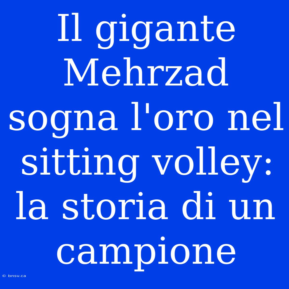 Il Gigante Mehrzad Sogna L'oro Nel Sitting Volley: La Storia Di Un Campione