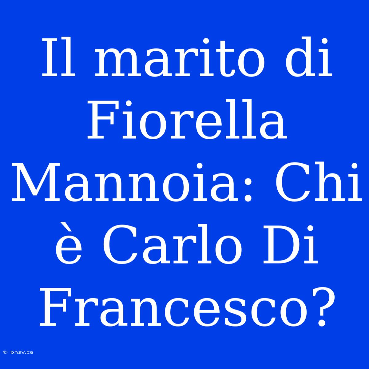 Il Marito Di Fiorella Mannoia: Chi È Carlo Di Francesco?