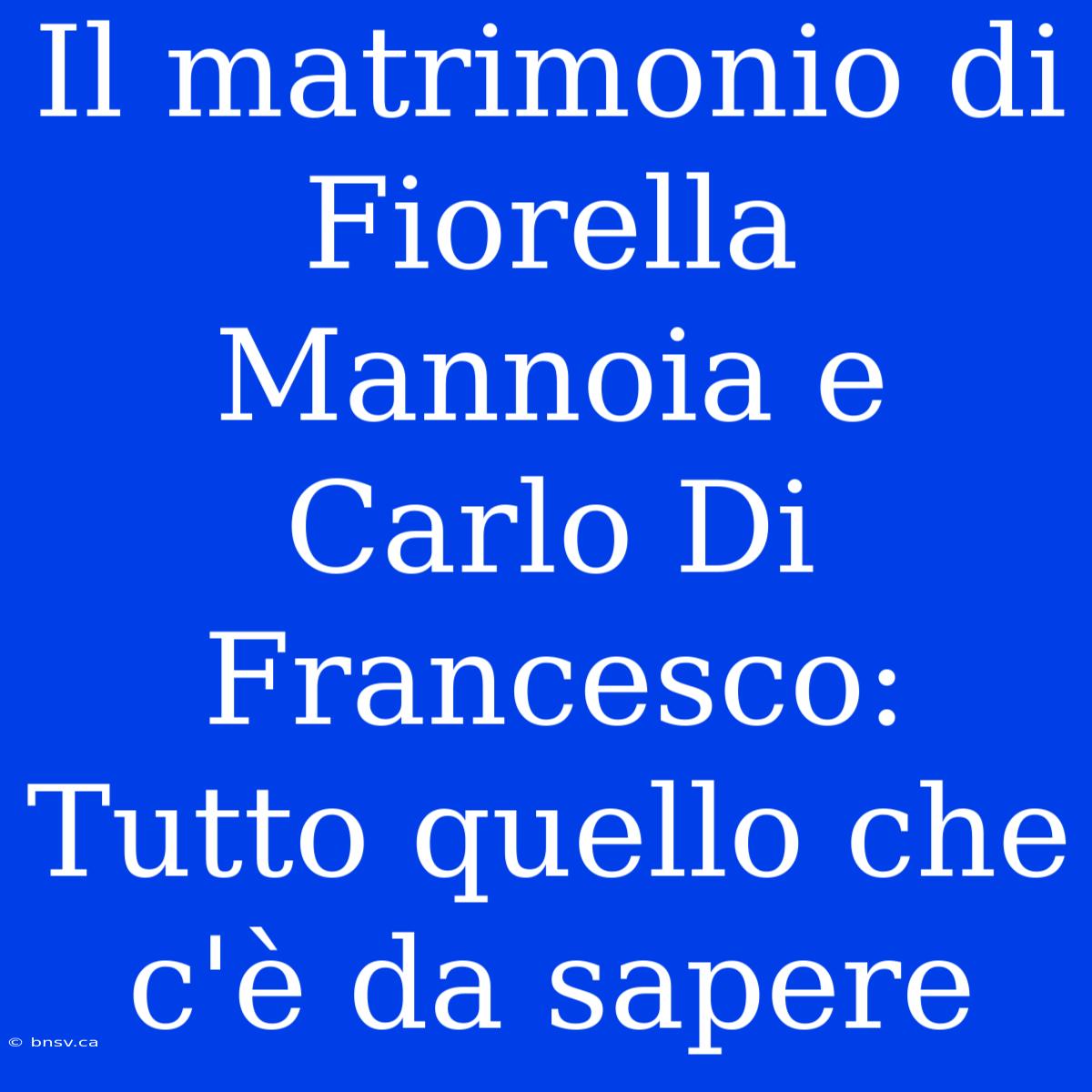 Il Matrimonio Di Fiorella Mannoia E Carlo Di Francesco: Tutto Quello Che C'è Da Sapere