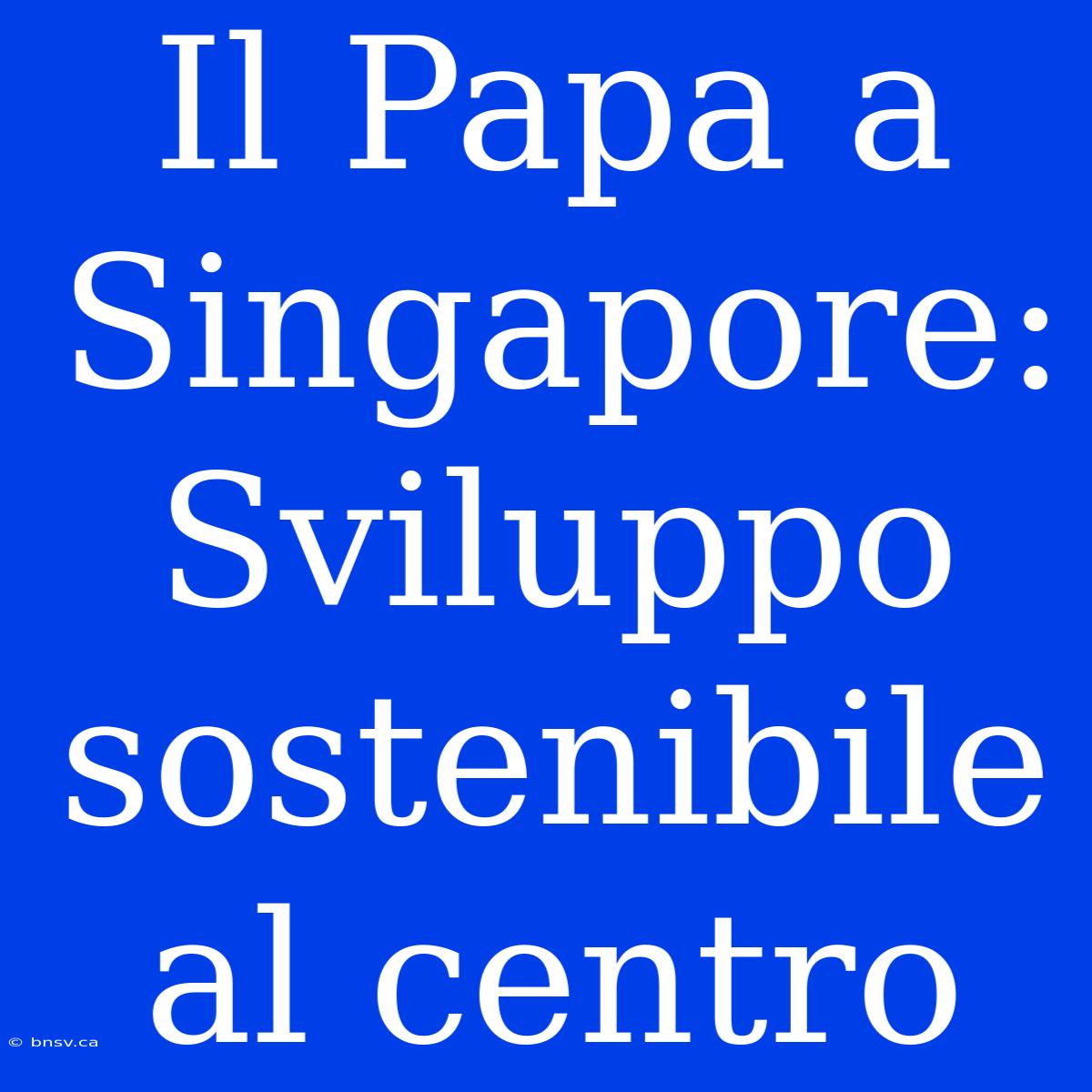 Il Papa A Singapore: Sviluppo Sostenibile Al Centro