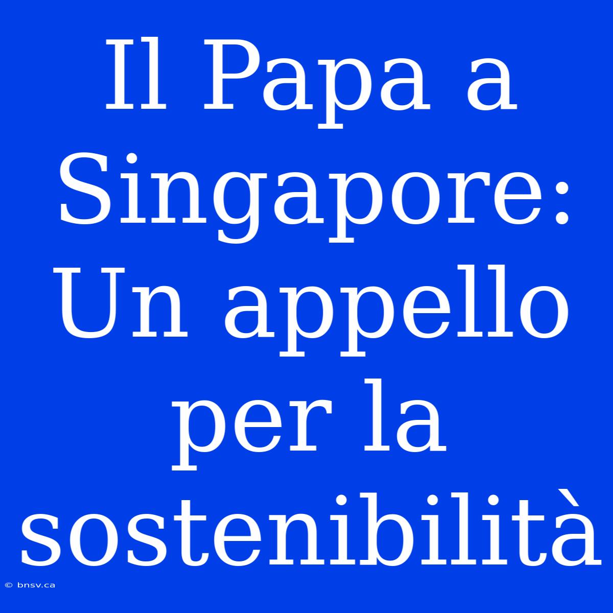 Il Papa A Singapore: Un Appello Per La Sostenibilità