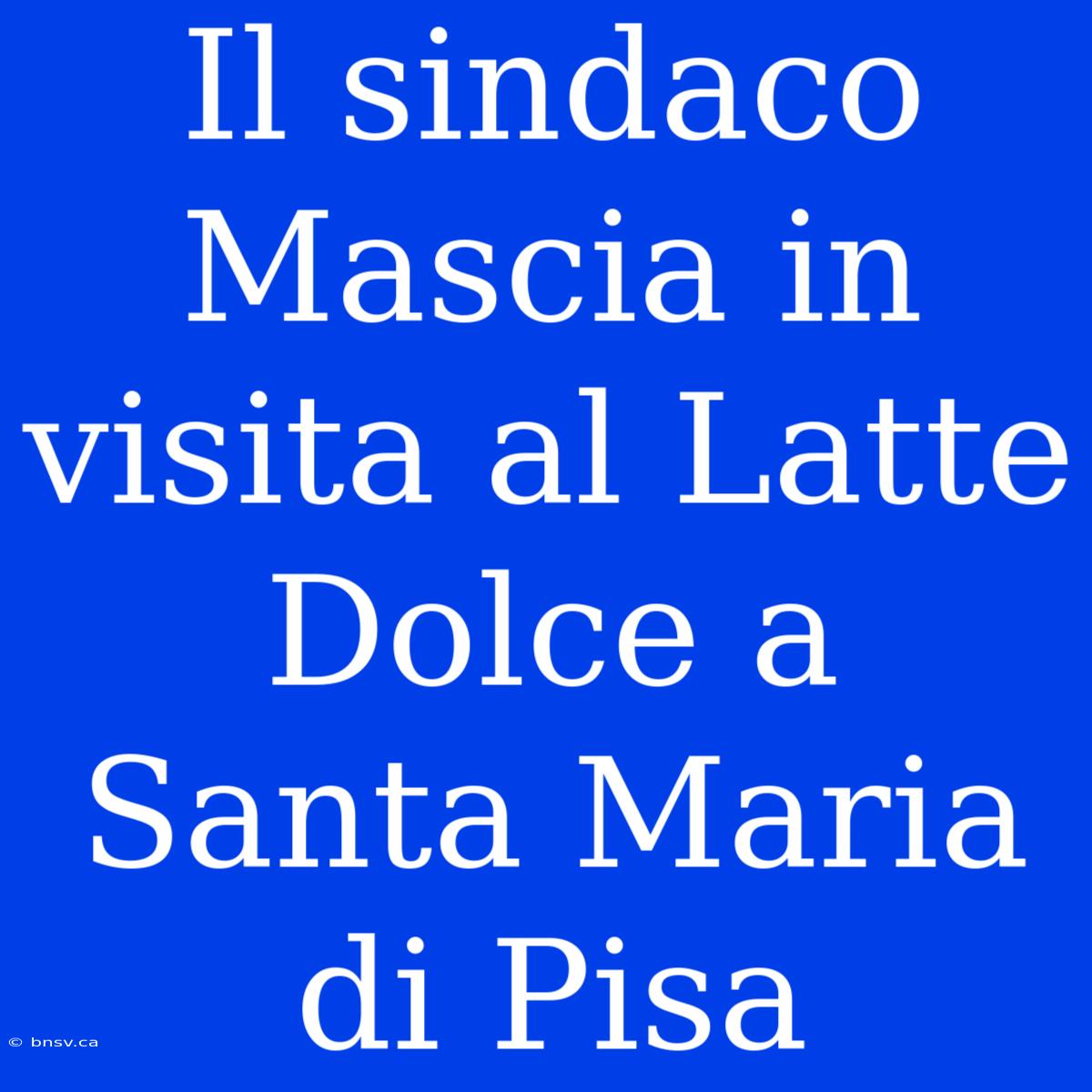 Il Sindaco Mascia In Visita Al Latte Dolce A Santa Maria Di Pisa