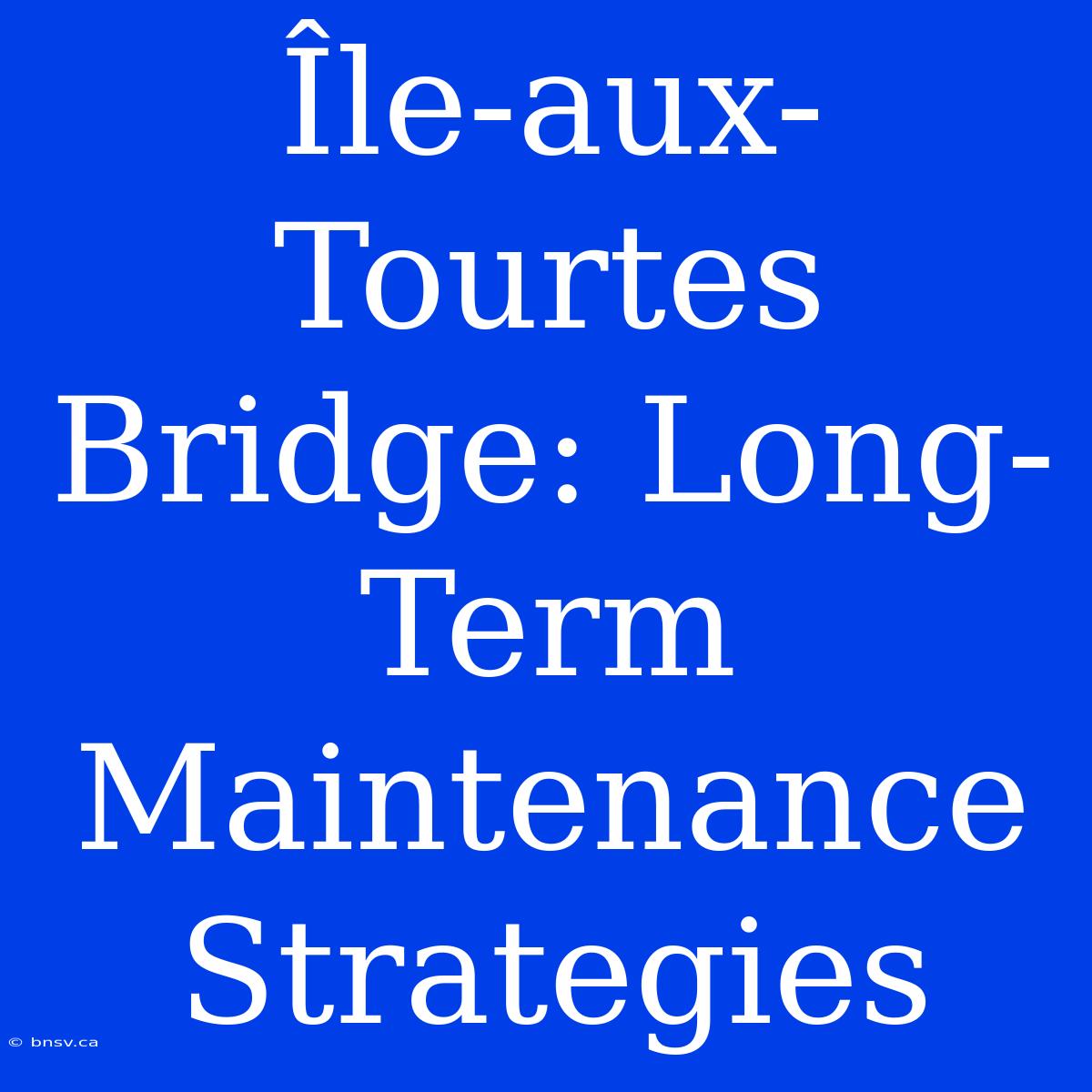 Île-aux-Tourtes Bridge: Long-Term Maintenance Strategies