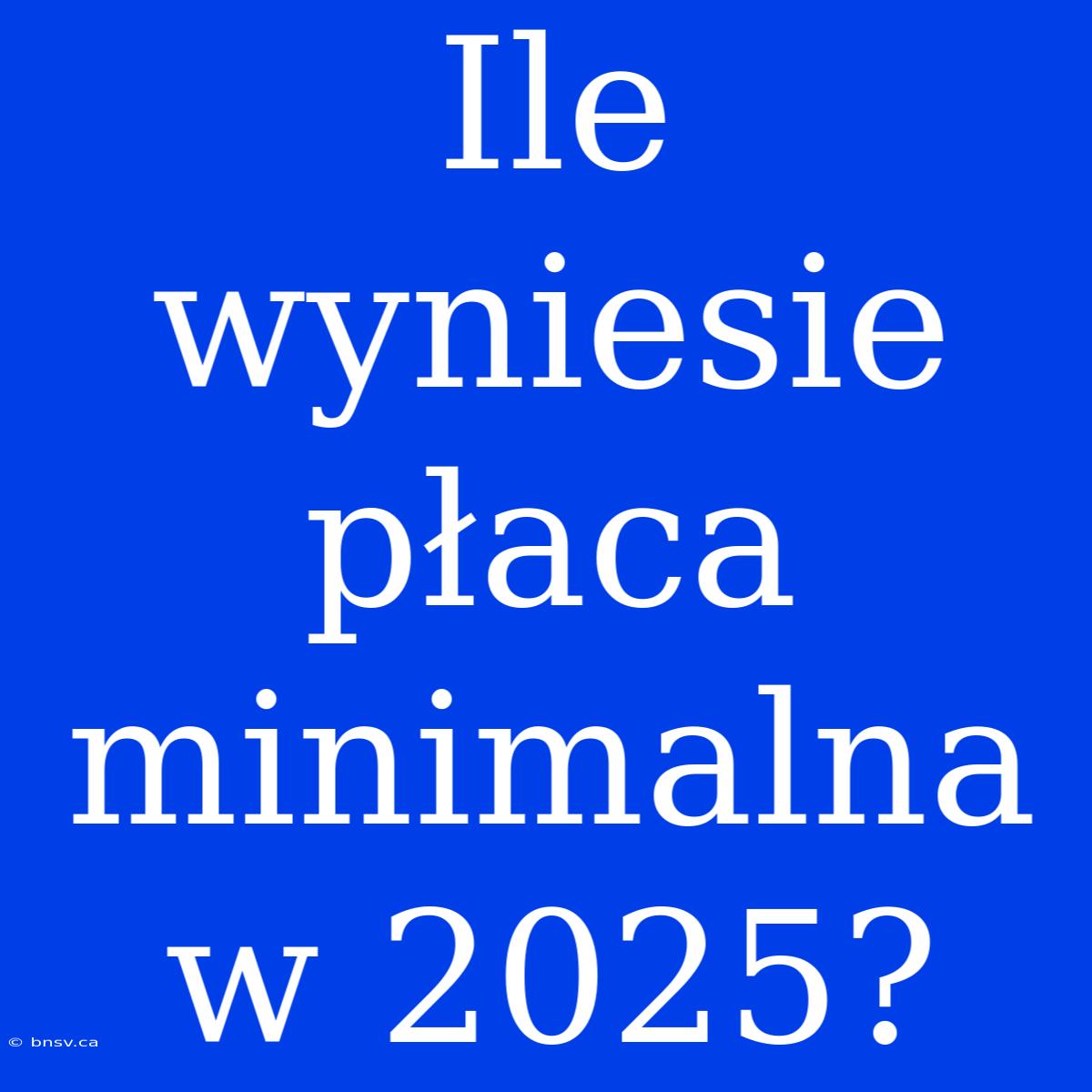 Ile Wyniesie Płaca Minimalna W 2025?