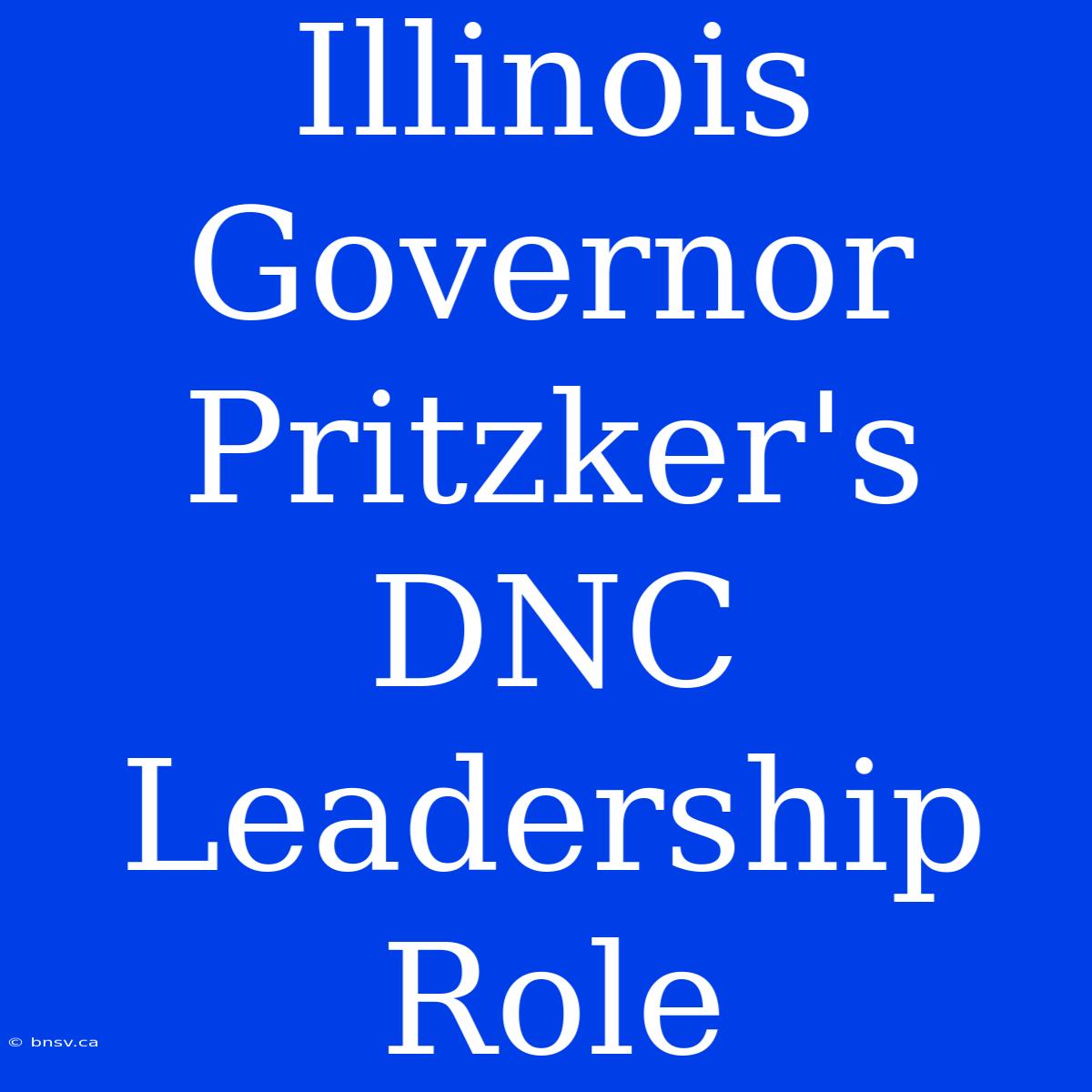 Illinois Governor Pritzker's DNC Leadership Role