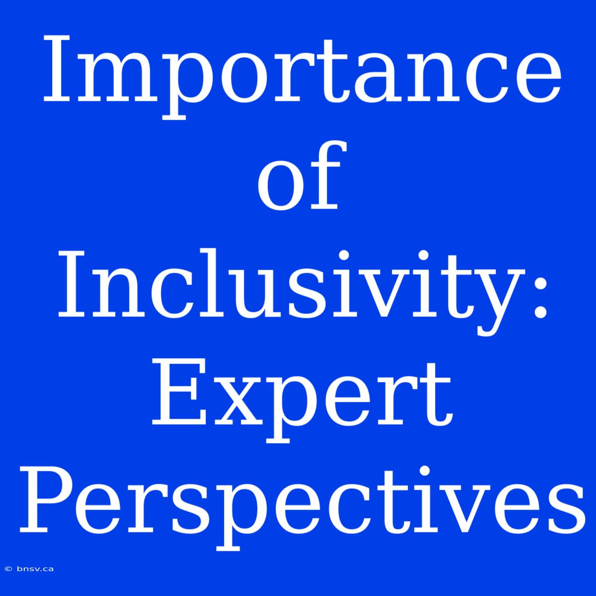 Importance Of Inclusivity: Expert Perspectives