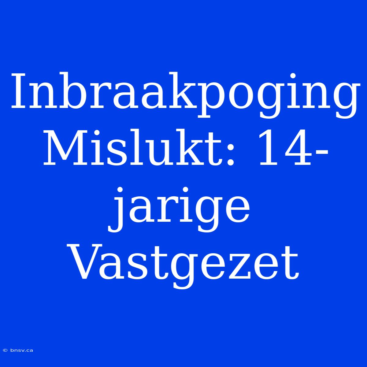 Inbraakpoging Mislukt: 14-jarige Vastgezet