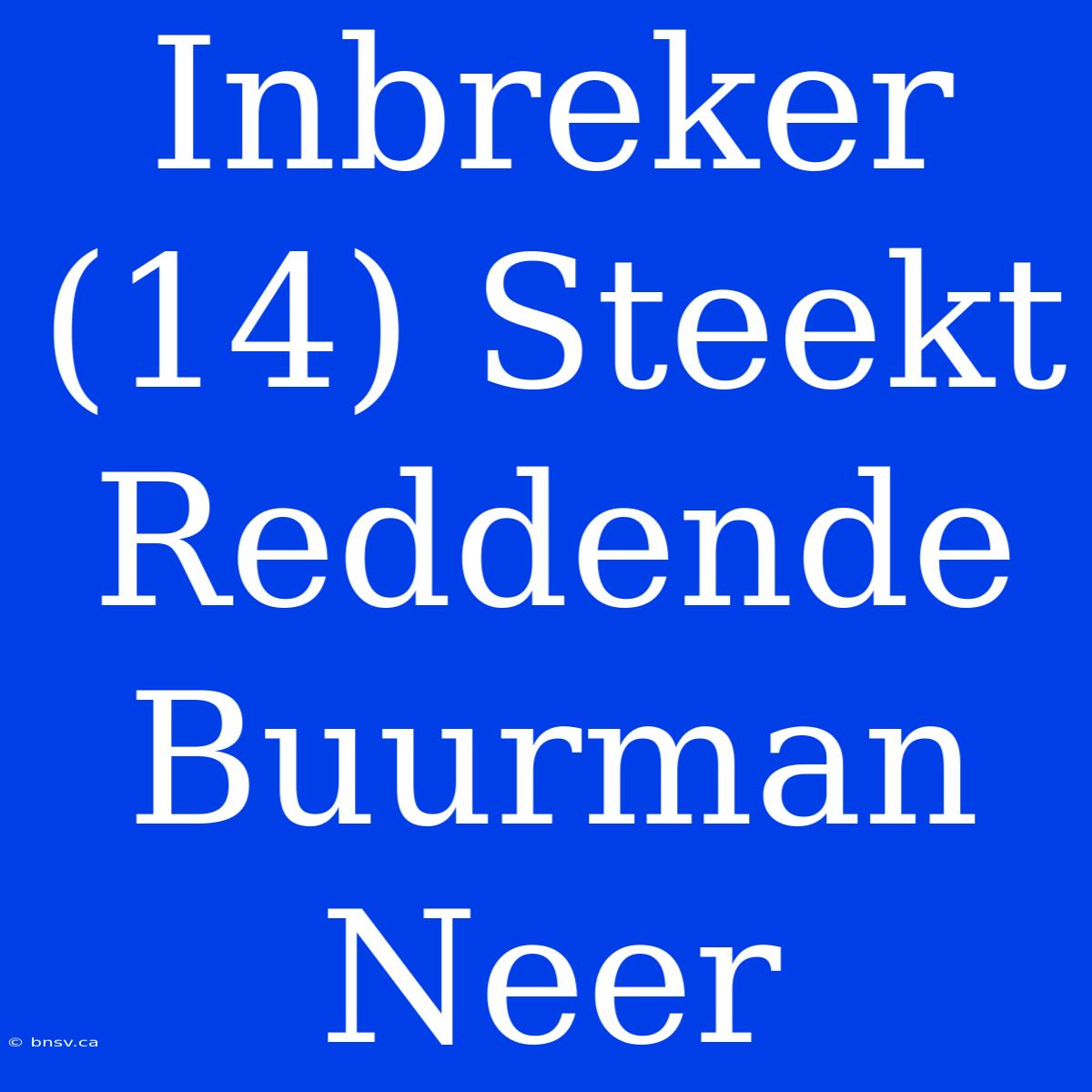 Inbreker (14) Steekt Reddende Buurman Neer