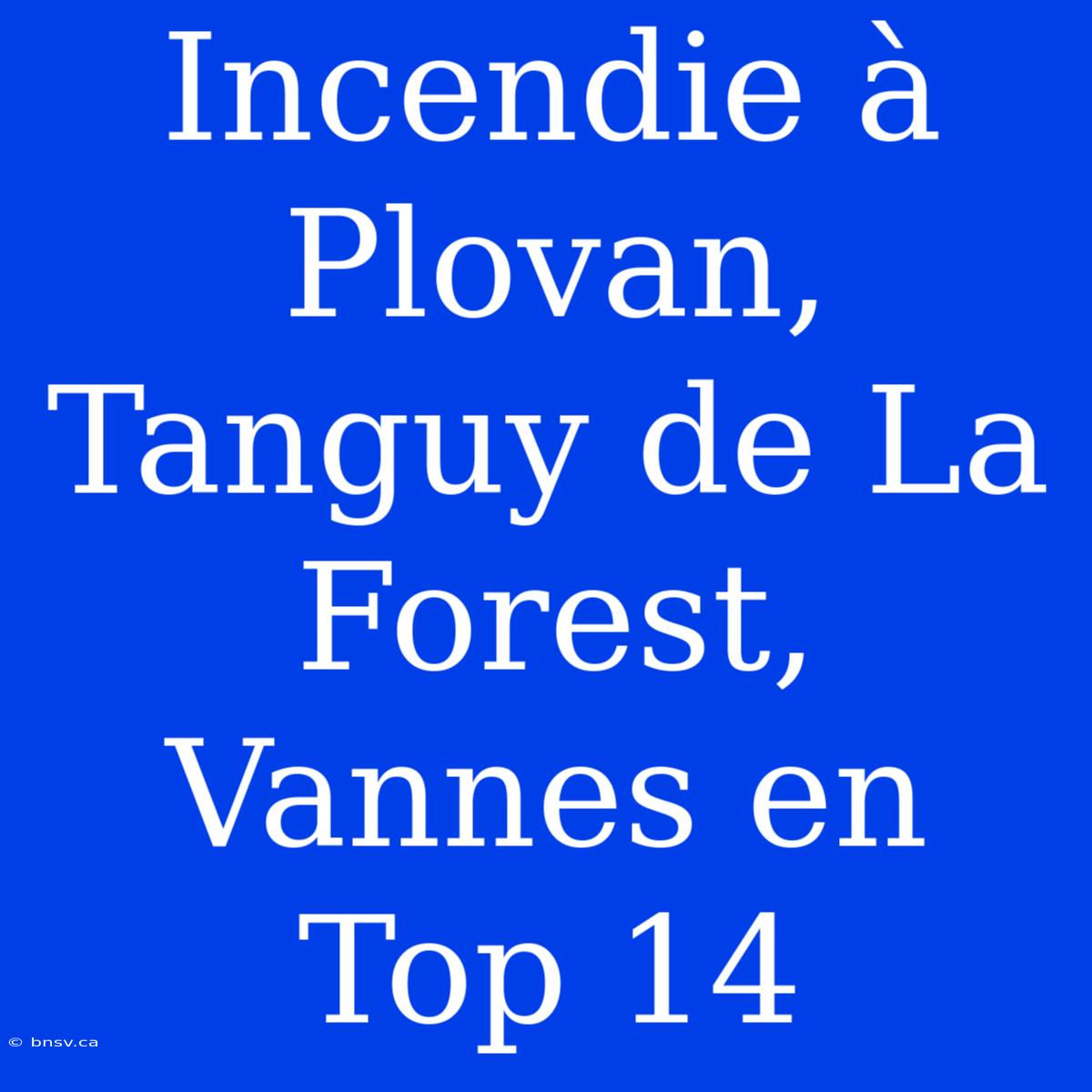 Incendie À Plovan, Tanguy De La Forest, Vannes En Top 14