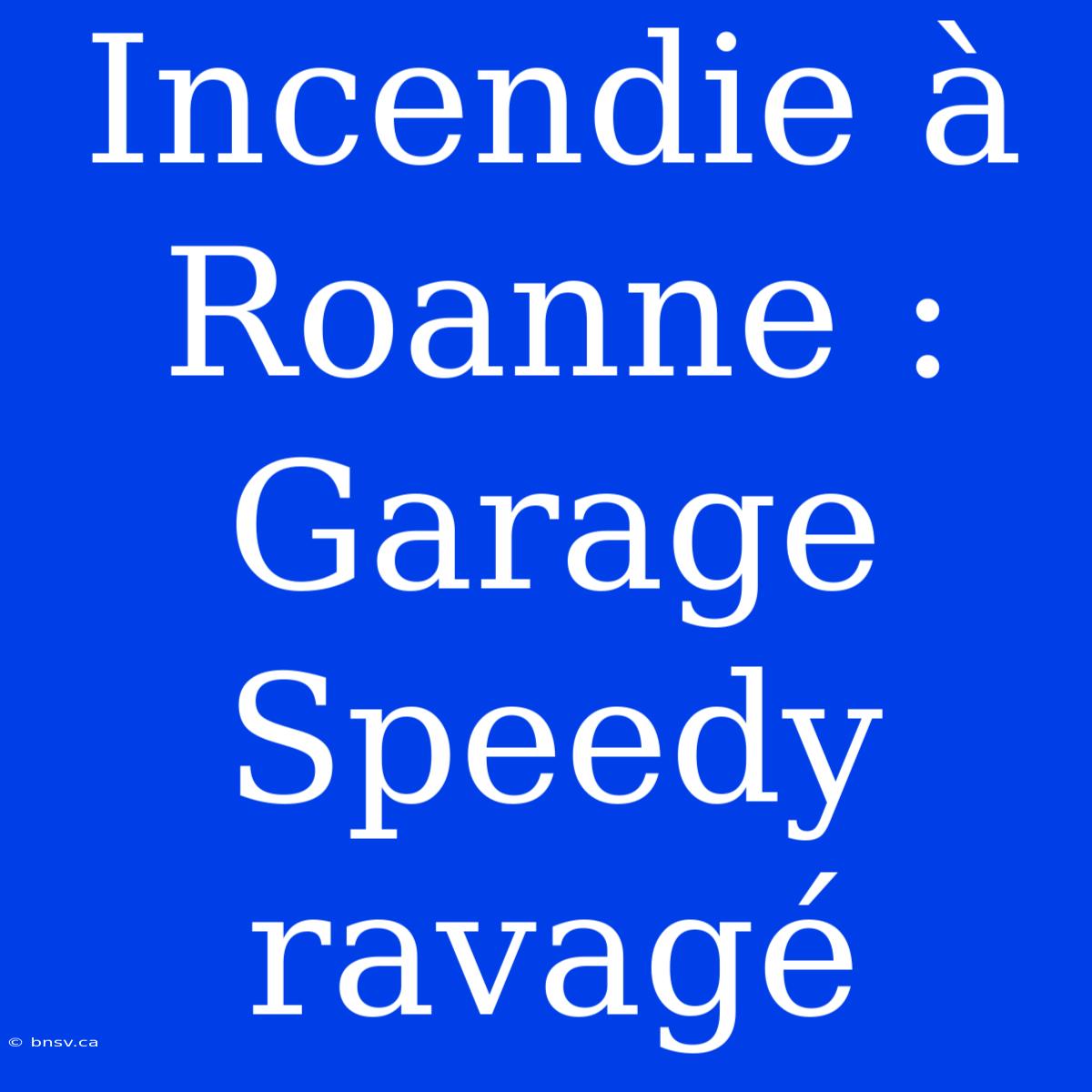 Incendie À Roanne : Garage Speedy Ravagé