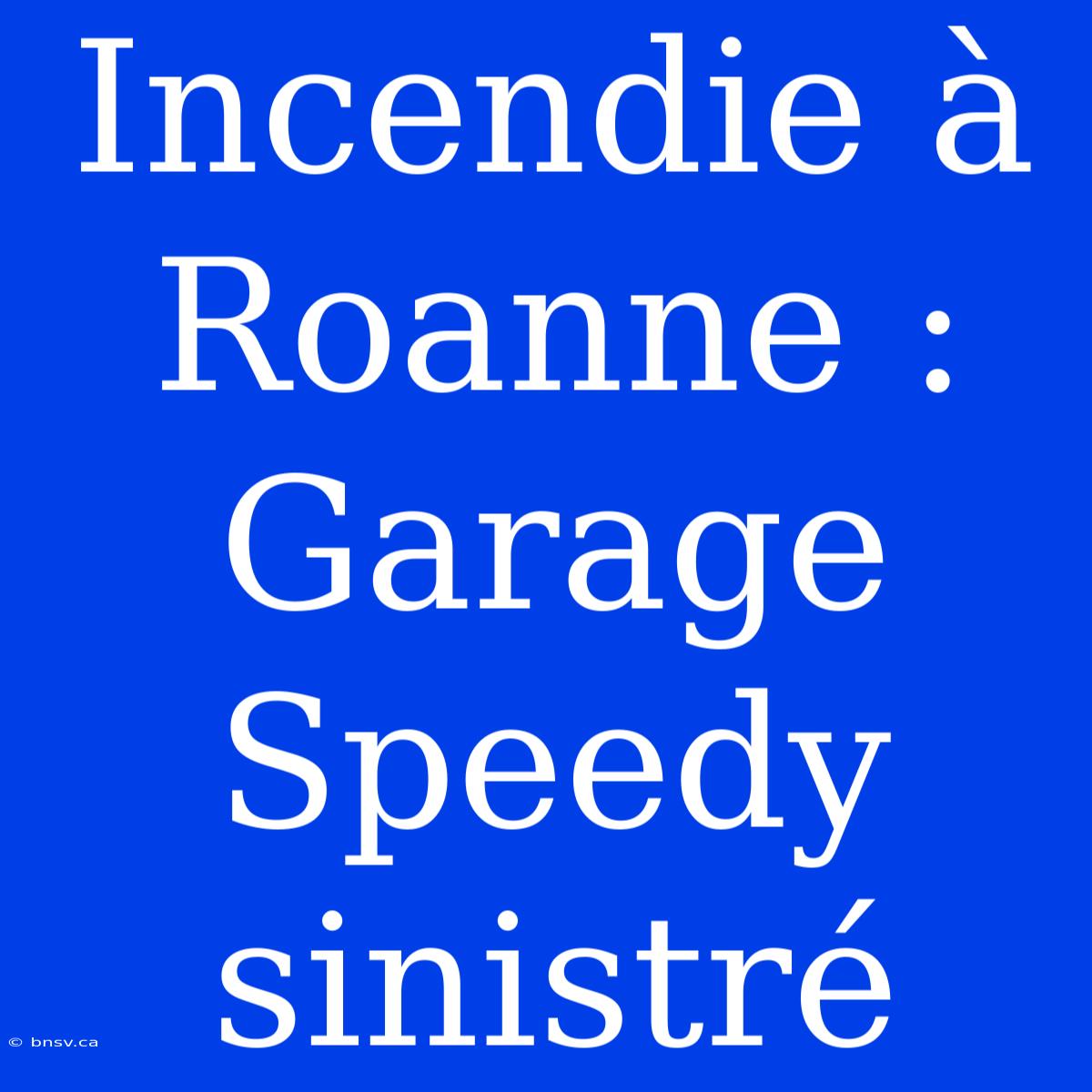 Incendie À Roanne : Garage Speedy Sinistré