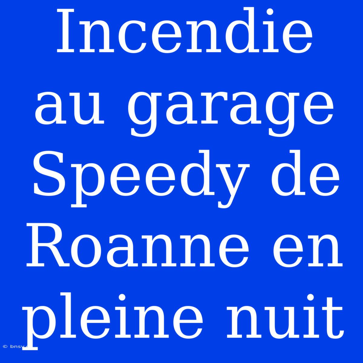 Incendie Au Garage Speedy De Roanne En Pleine Nuit