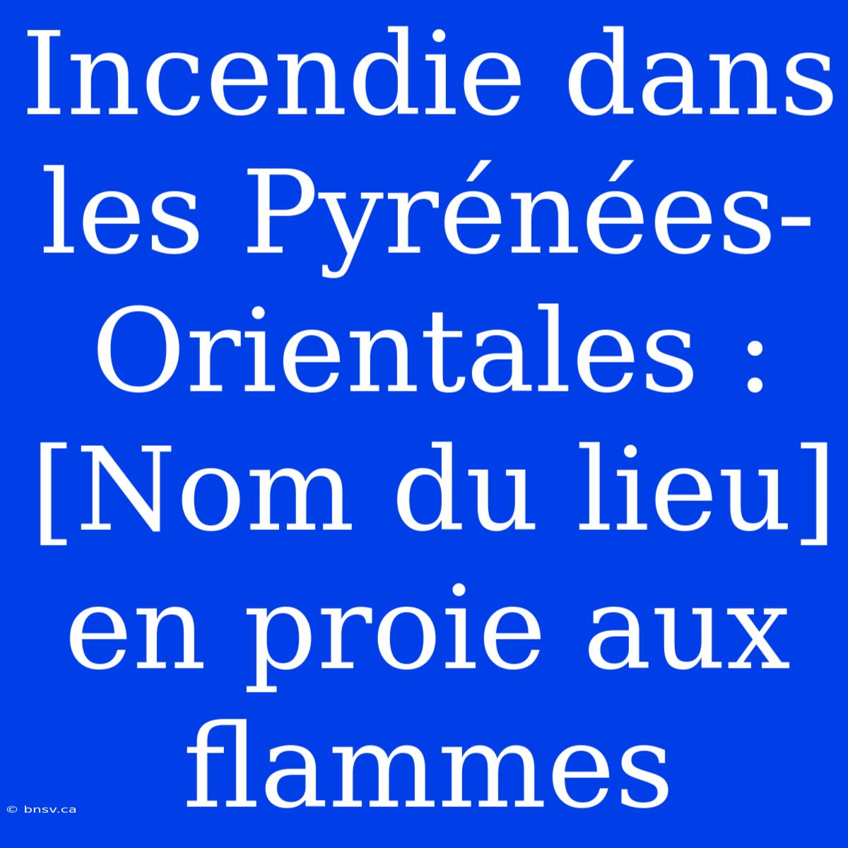 Incendie Dans Les Pyrénées-Orientales : [Nom Du Lieu] En Proie Aux Flammes