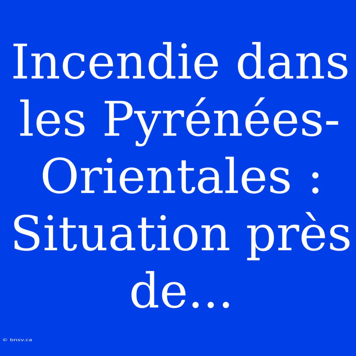 Incendie Dans Les Pyrénées-Orientales : Situation Près De...