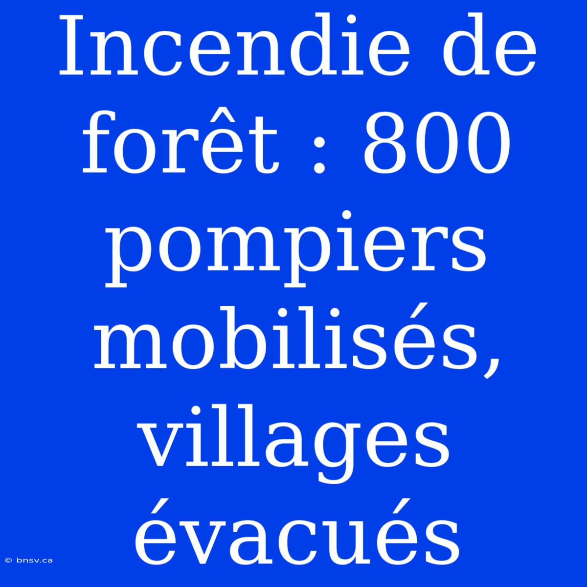 Incendie De Forêt : 800 Pompiers Mobilisés, Villages Évacués