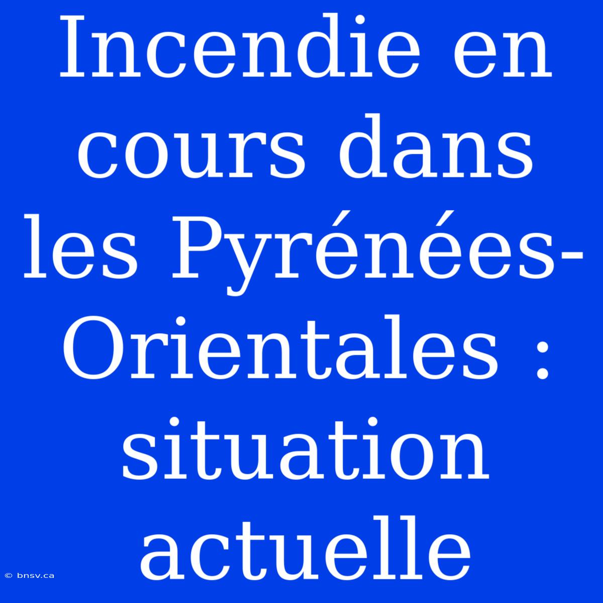 Incendie En Cours Dans Les Pyrénées-Orientales : Situation Actuelle