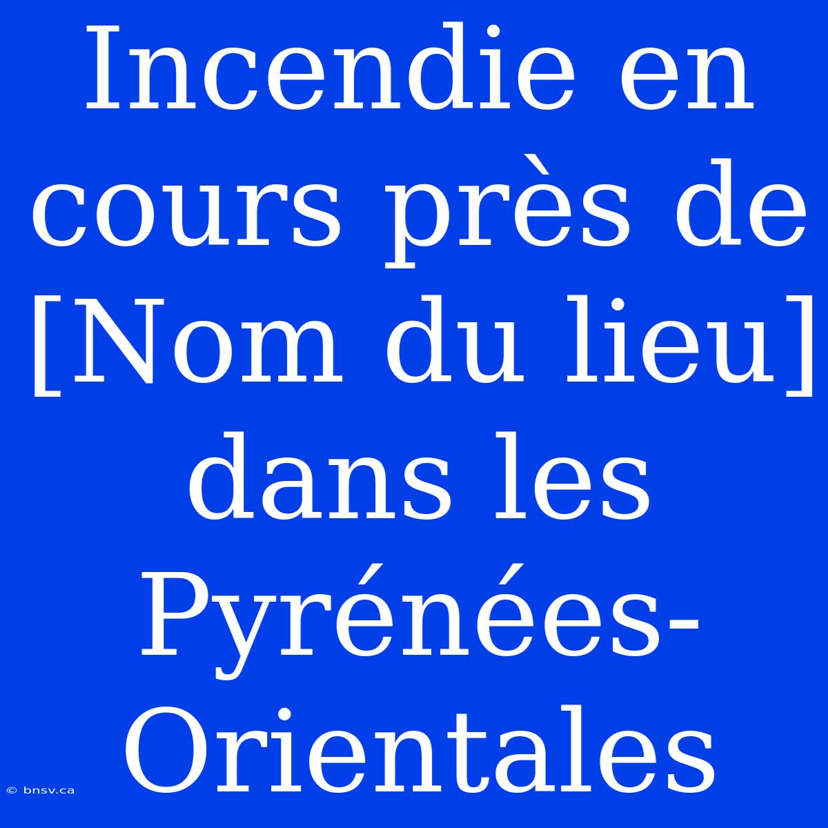 Incendie En Cours Près De [Nom Du Lieu] Dans Les Pyrénées-Orientales