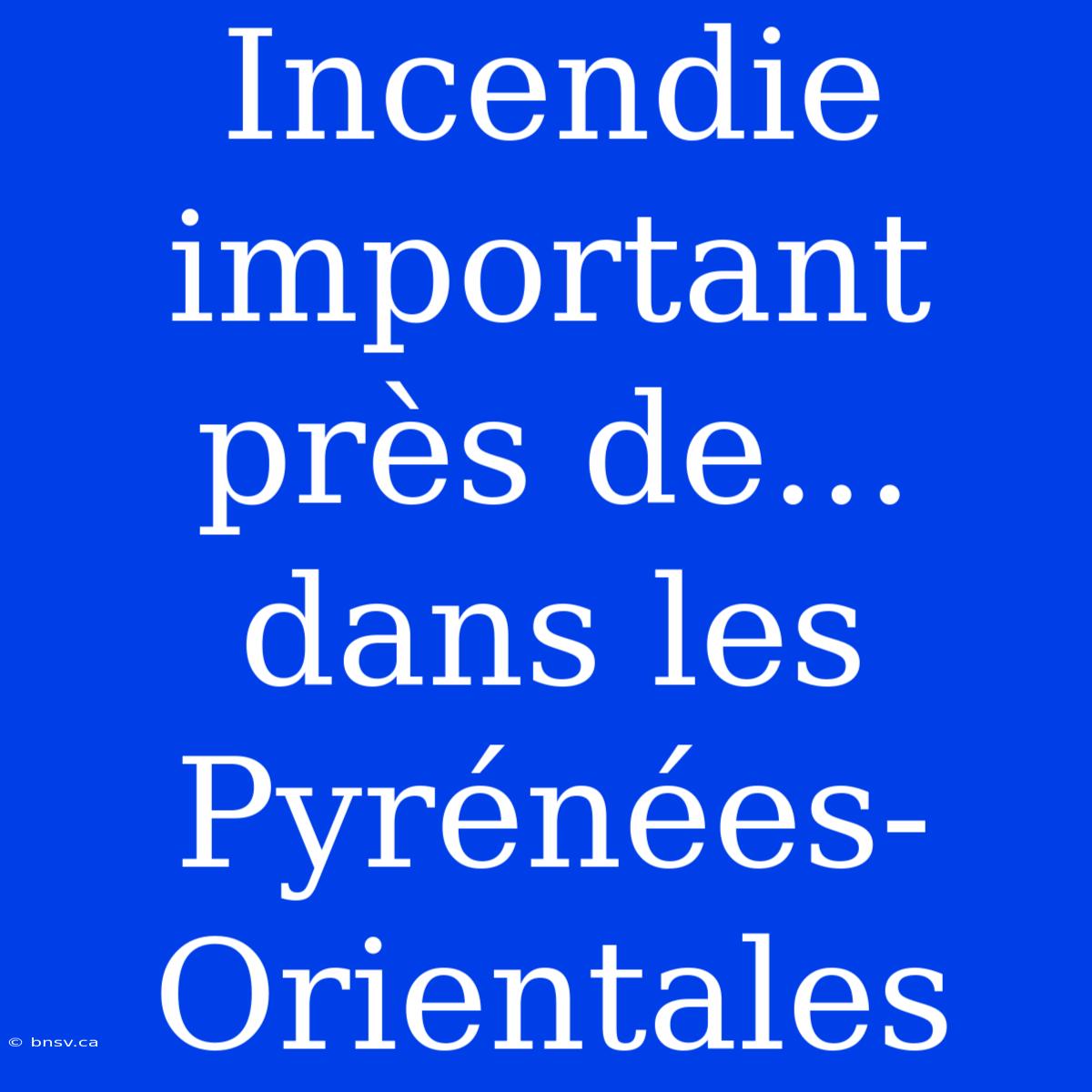 Incendie Important Près De... Dans Les Pyrénées-Orientales