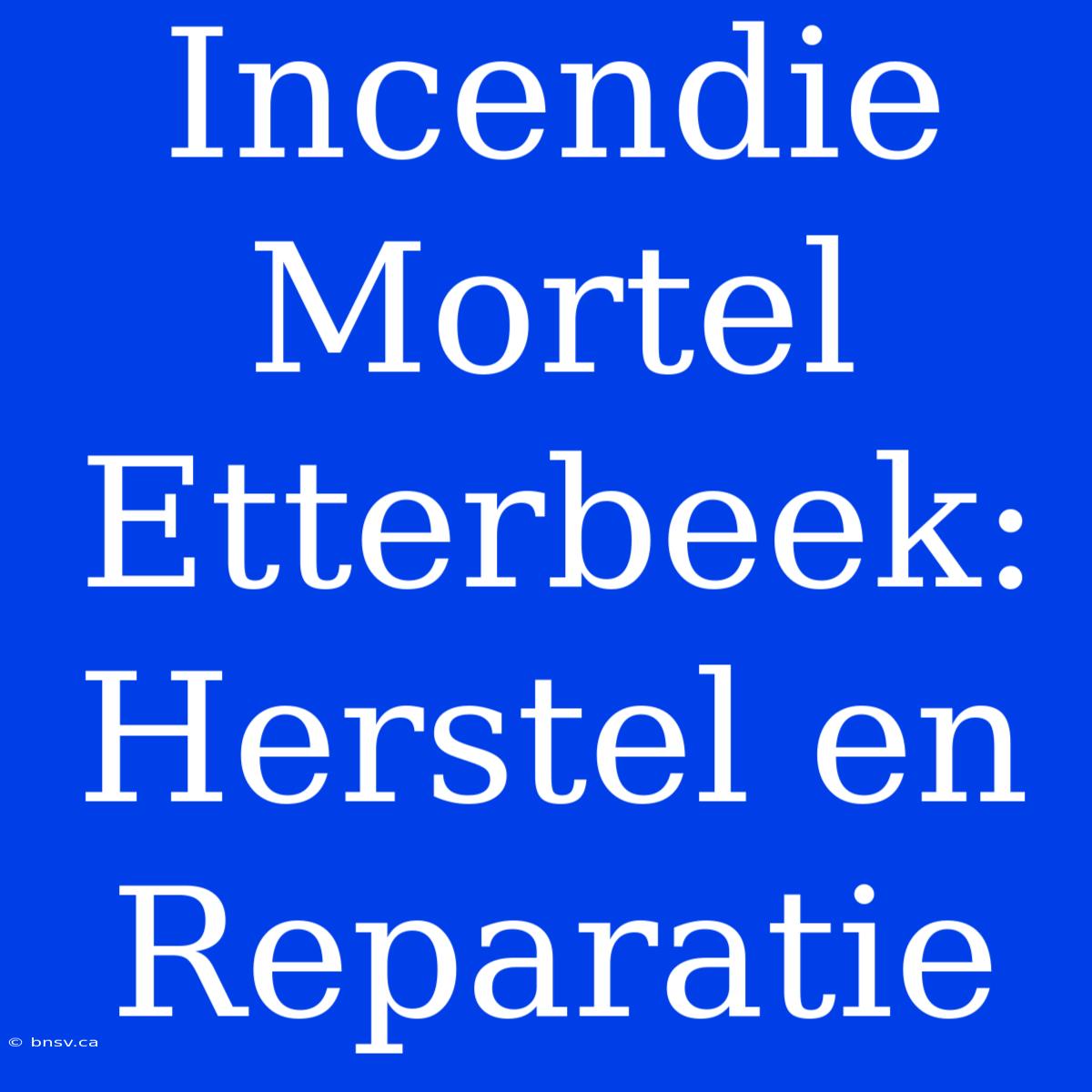 Incendie Mortel Etterbeek: Herstel En Reparatie