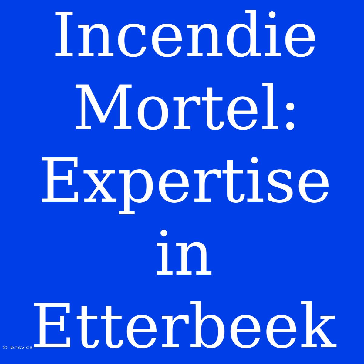 Incendie Mortel: Expertise In Etterbeek