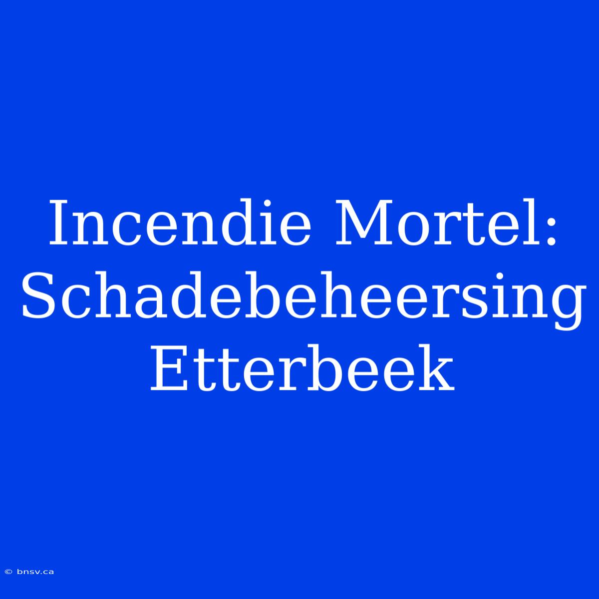 Incendie Mortel: Schadebeheersing Etterbeek