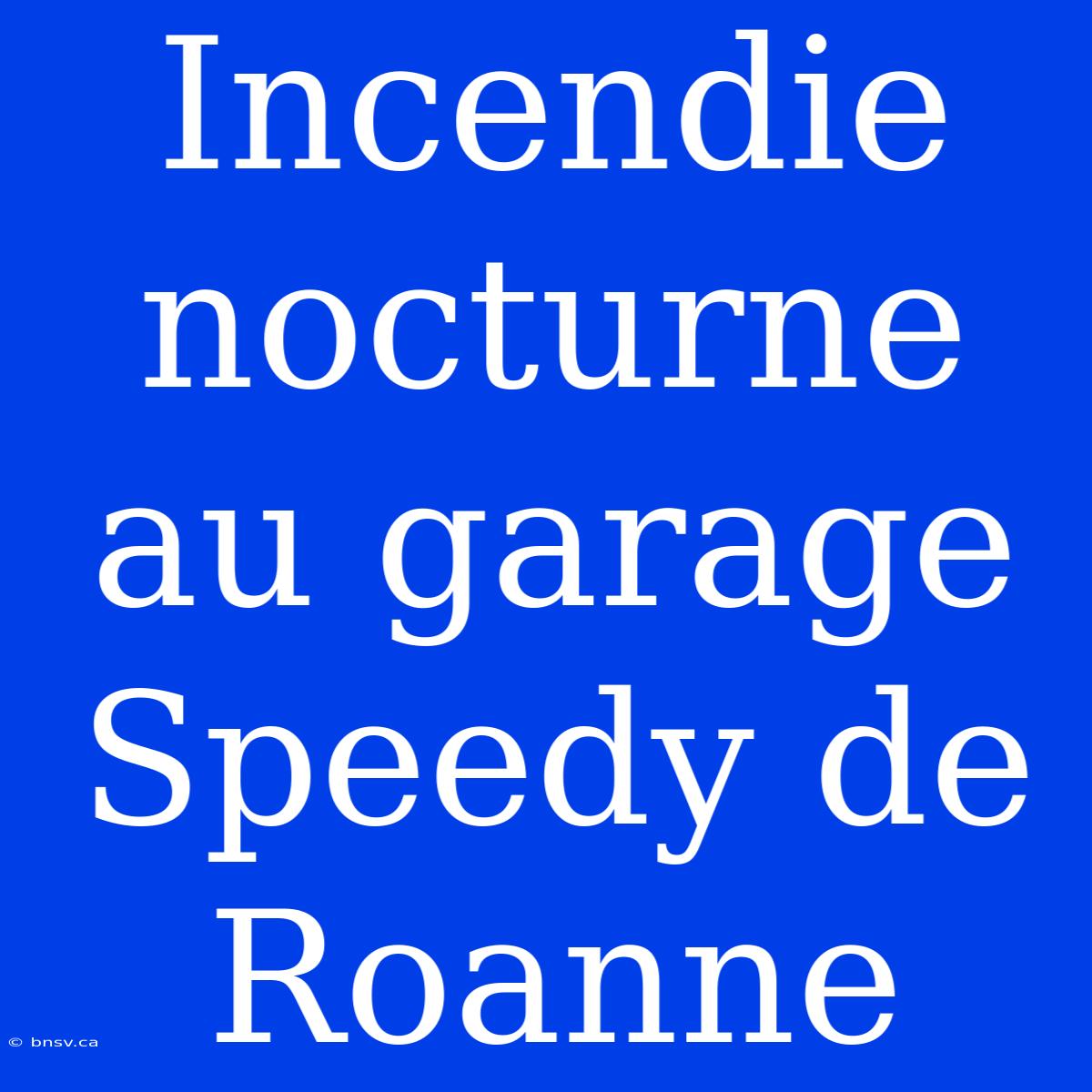 Incendie Nocturne Au Garage Speedy De Roanne