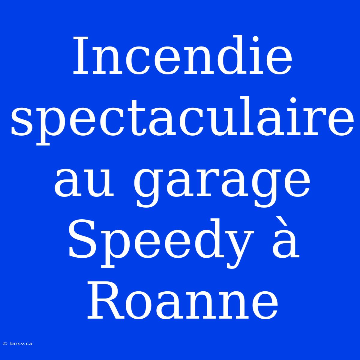 Incendie Spectaculaire Au Garage Speedy À Roanne