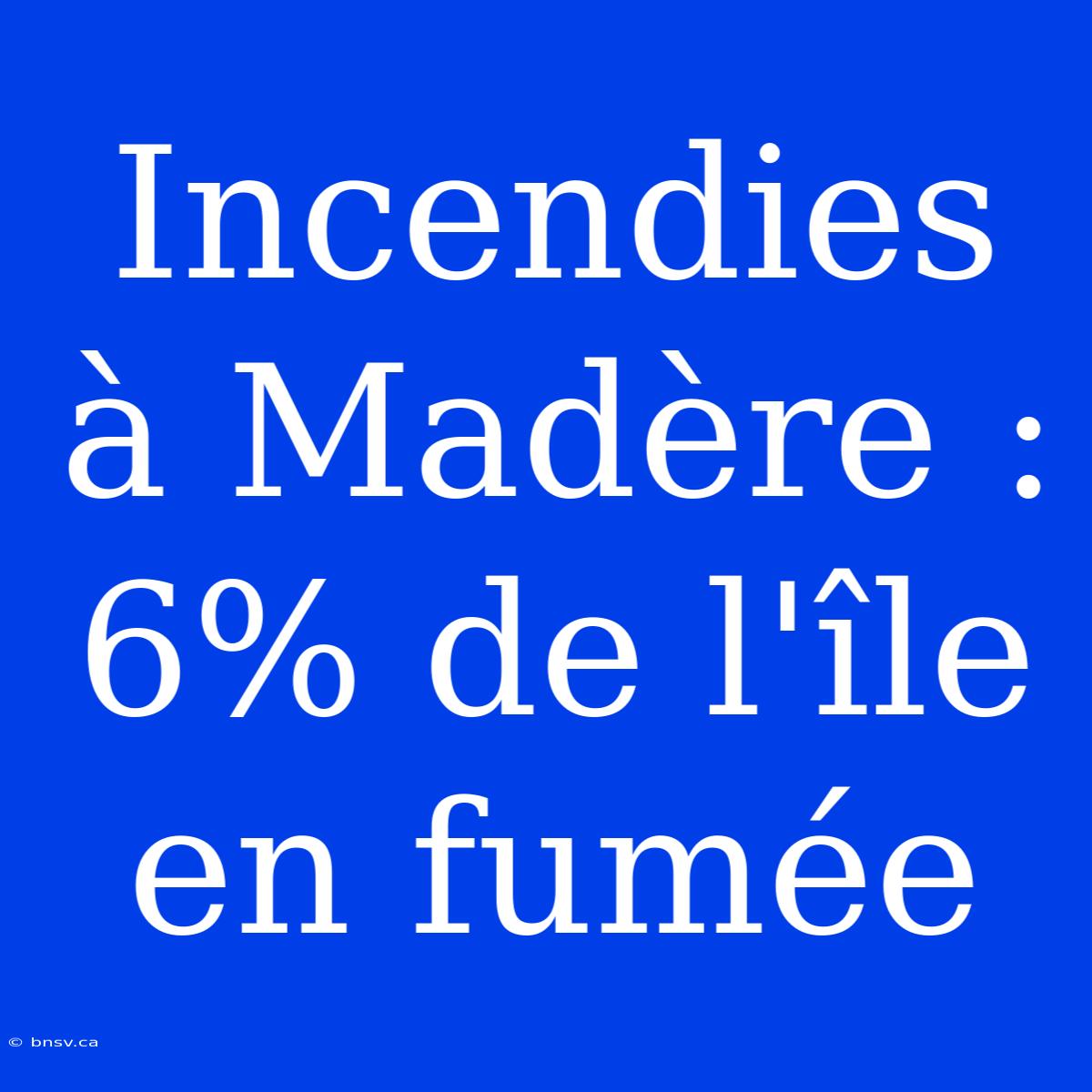 Incendies À Madère : 6% De L'île En Fumée