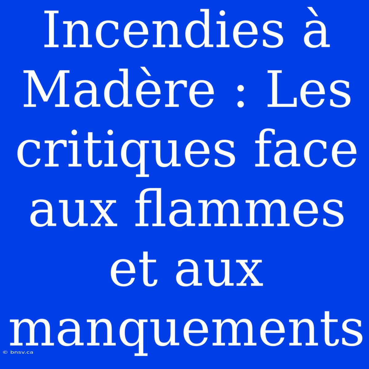 Incendies À Madère : Les Critiques Face Aux Flammes Et Aux Manquements