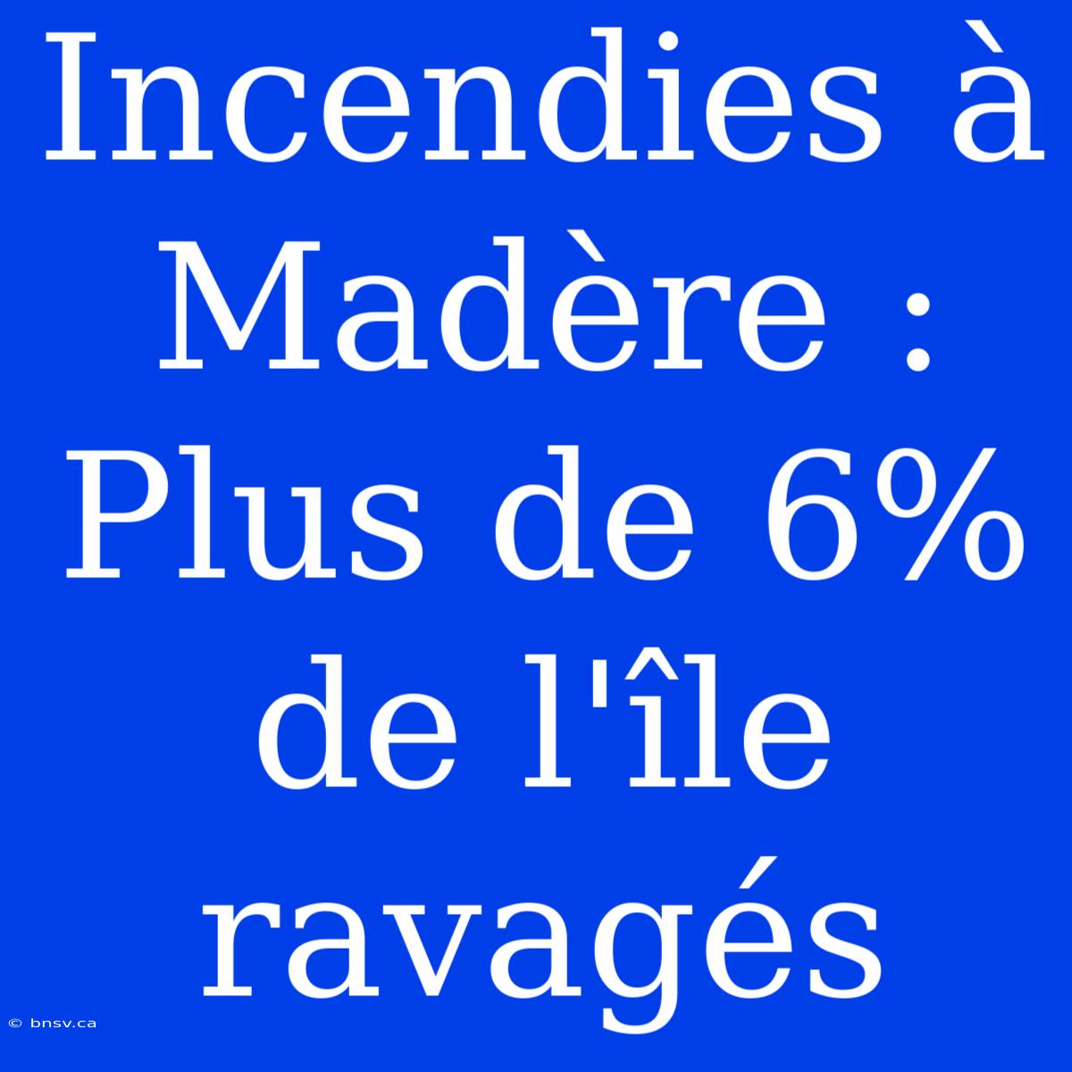 Incendies À Madère : Plus De 6% De L'île Ravagés