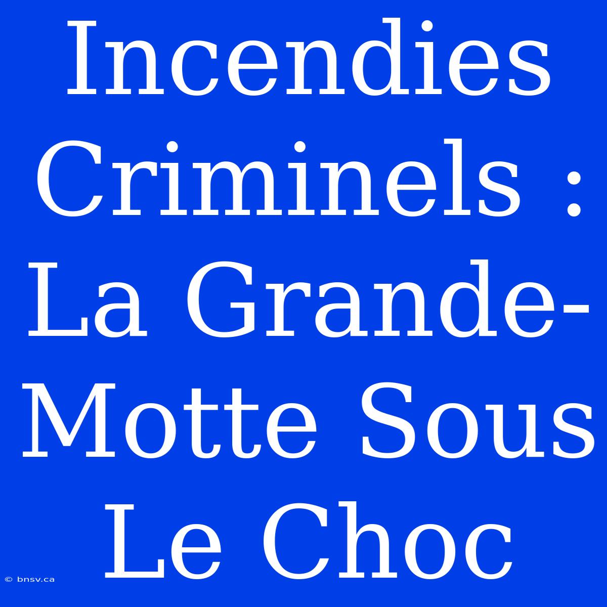 Incendies Criminels : La Grande-Motte Sous Le Choc