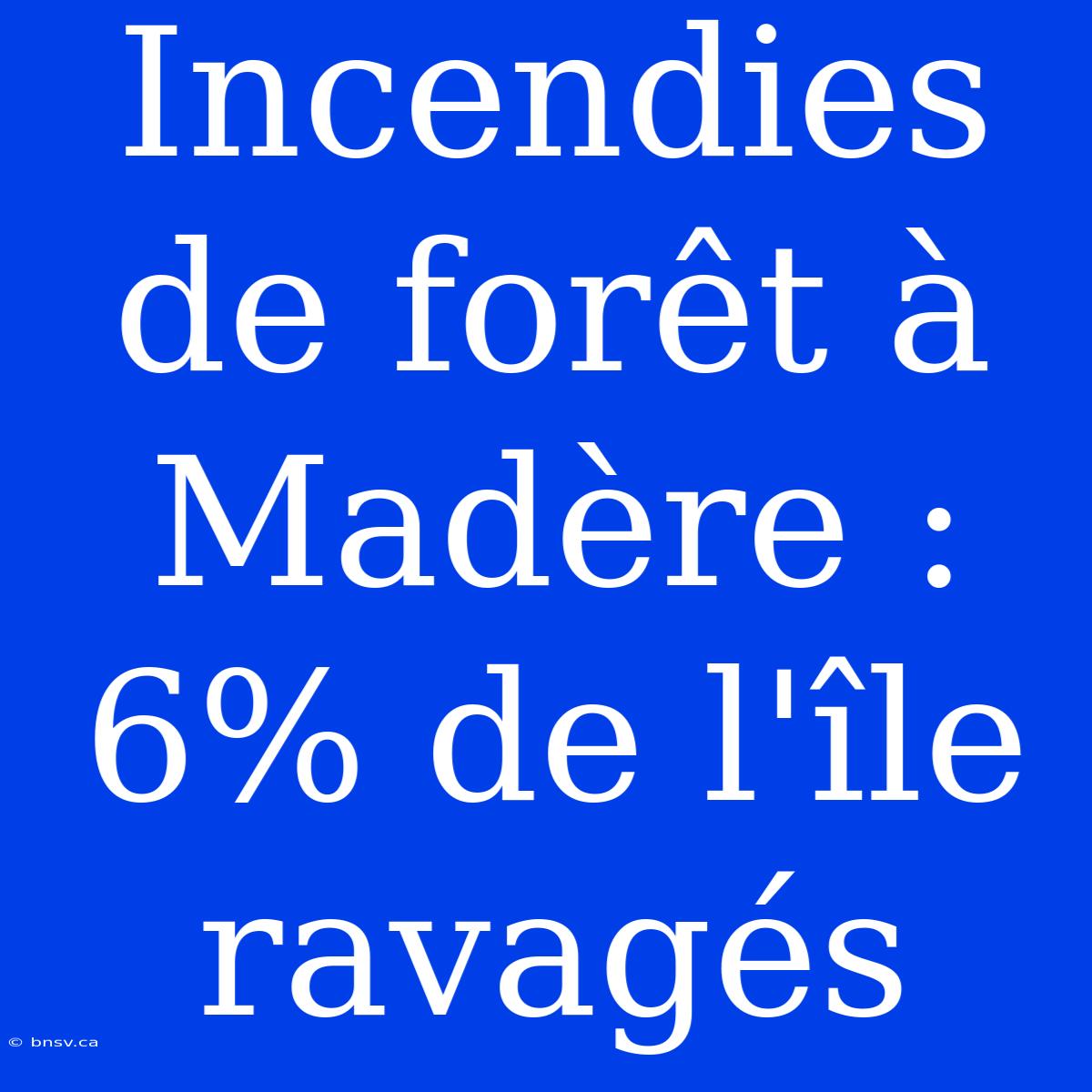 Incendies De Forêt À Madère : 6% De L'île Ravagés