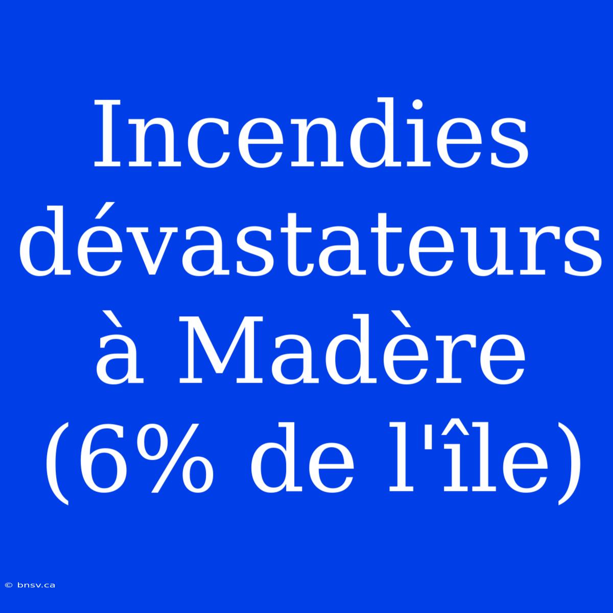 Incendies Dévastateurs À Madère (6% De L'île)