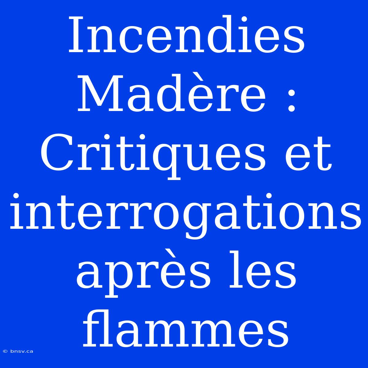 Incendies Madère : Critiques Et Interrogations Après Les Flammes