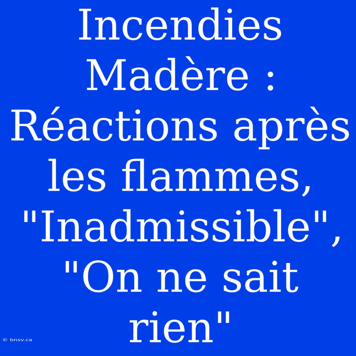 Incendies Madère : Réactions Après Les Flammes, 