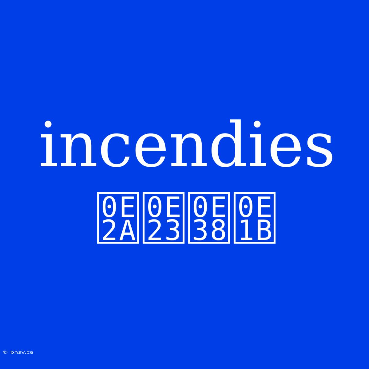 Incendies สรุป