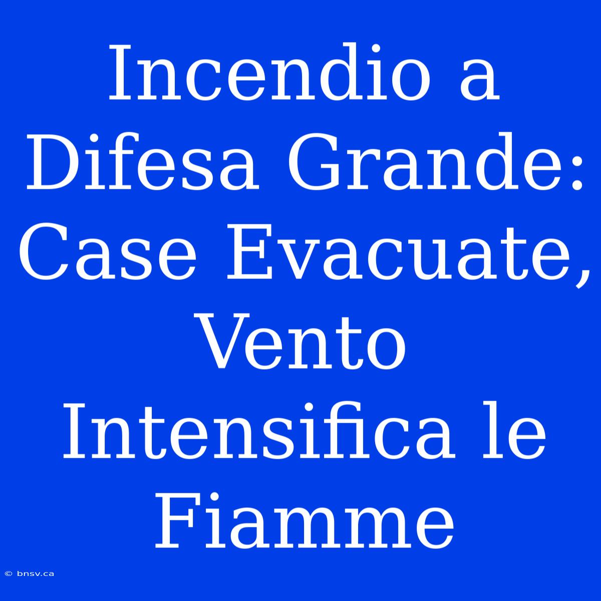 Incendio A Difesa Grande: Case Evacuate, Vento Intensifica Le Fiamme