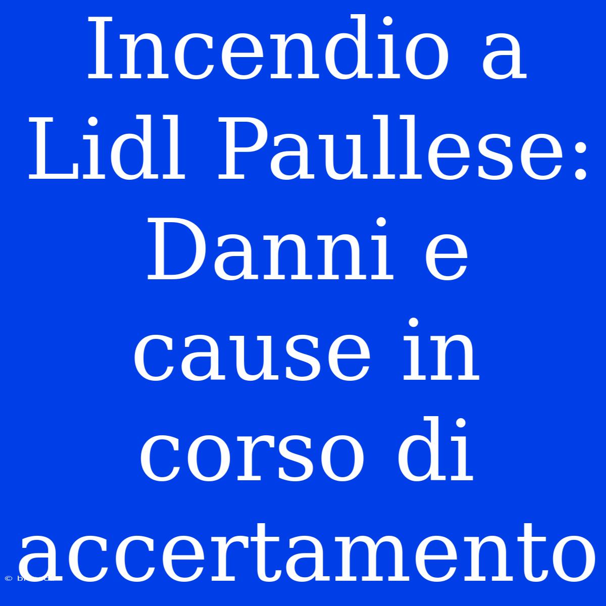 Incendio A Lidl Paullese: Danni E Cause In Corso Di Accertamento