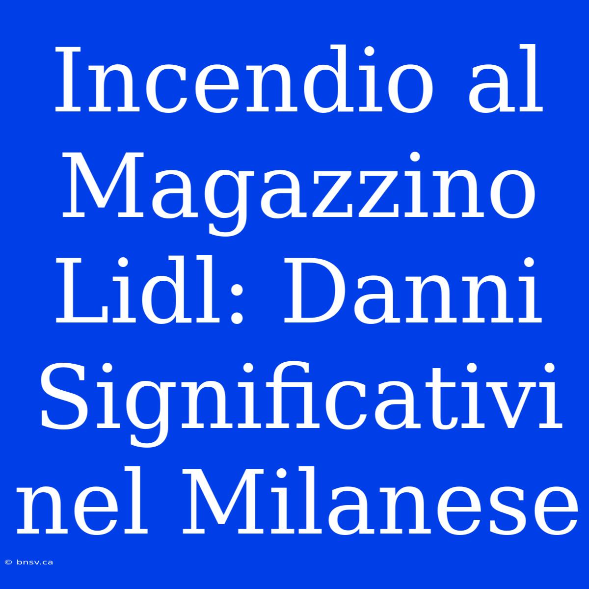 Incendio Al Magazzino Lidl: Danni Significativi Nel Milanese