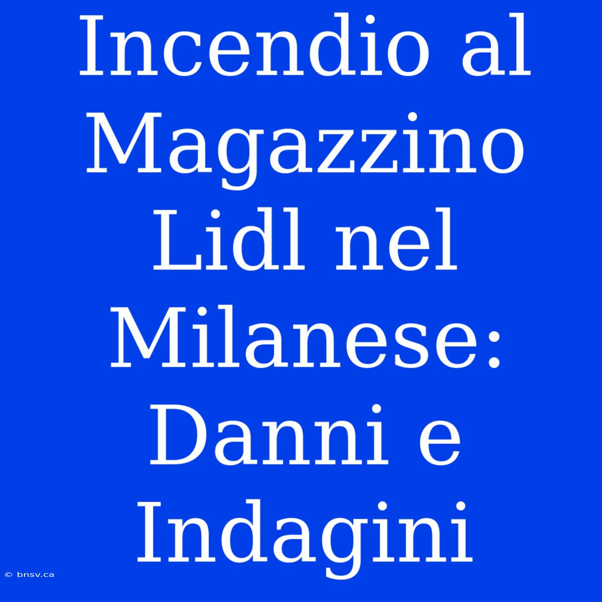 Incendio Al Magazzino Lidl Nel Milanese: Danni E Indagini