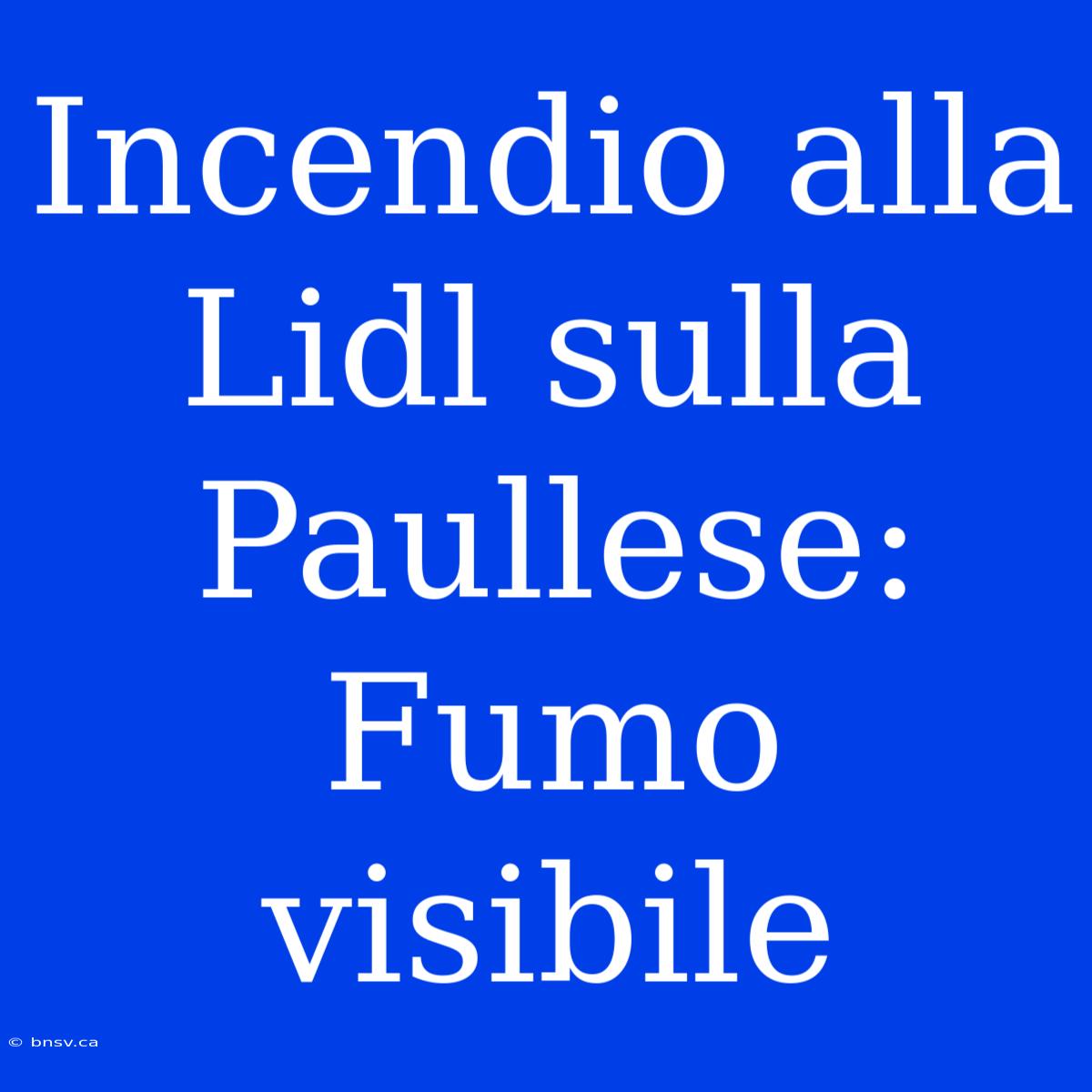 Incendio Alla Lidl Sulla Paullese: Fumo Visibile