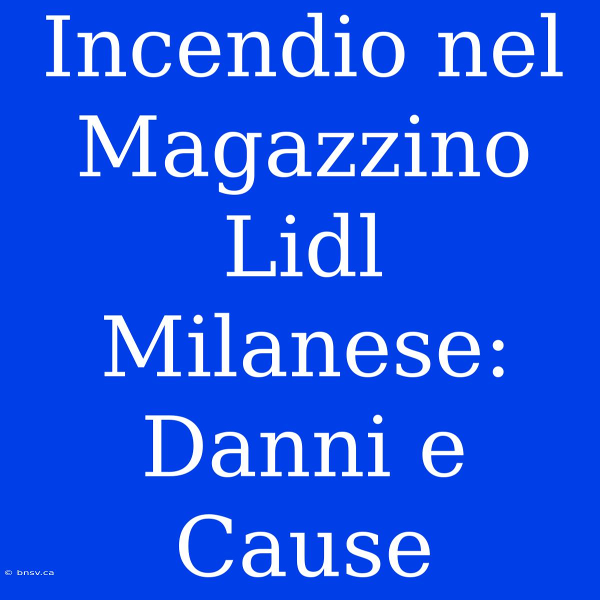 Incendio Nel Magazzino Lidl Milanese: Danni E Cause